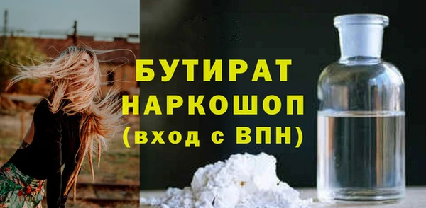 дмт Бородино