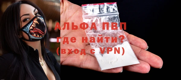 дмт Бородино