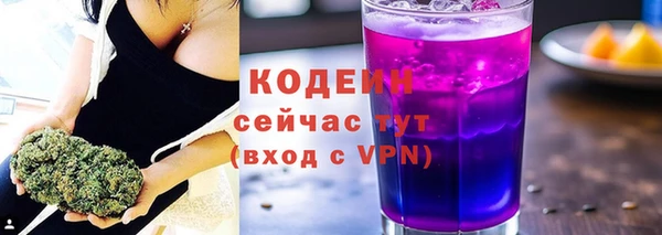 дмт Бородино