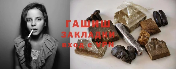 дмт Бородино