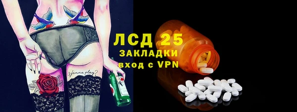 дмт Бородино