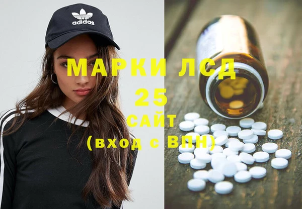 дмт Бородино