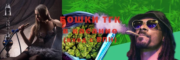 дмт Бородино